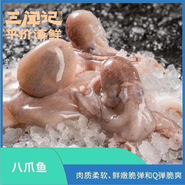 冰鲜八爪鱼/小八爪