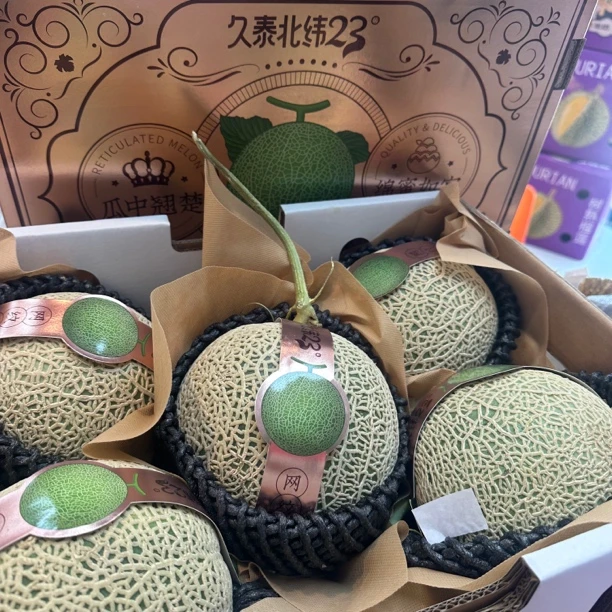 【果真不错】网纹瓜甜瓜  口感软糯香甜，瓜香四溢如冰淇淋般香甜1个2斤多（武汉小时达同城配送）