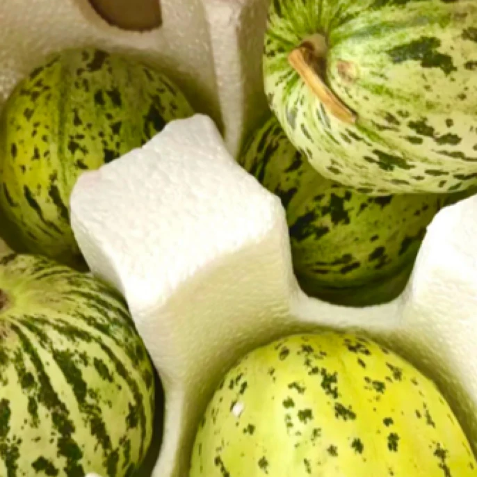 新鲜甜瓜花香瓜一份约500g北京市