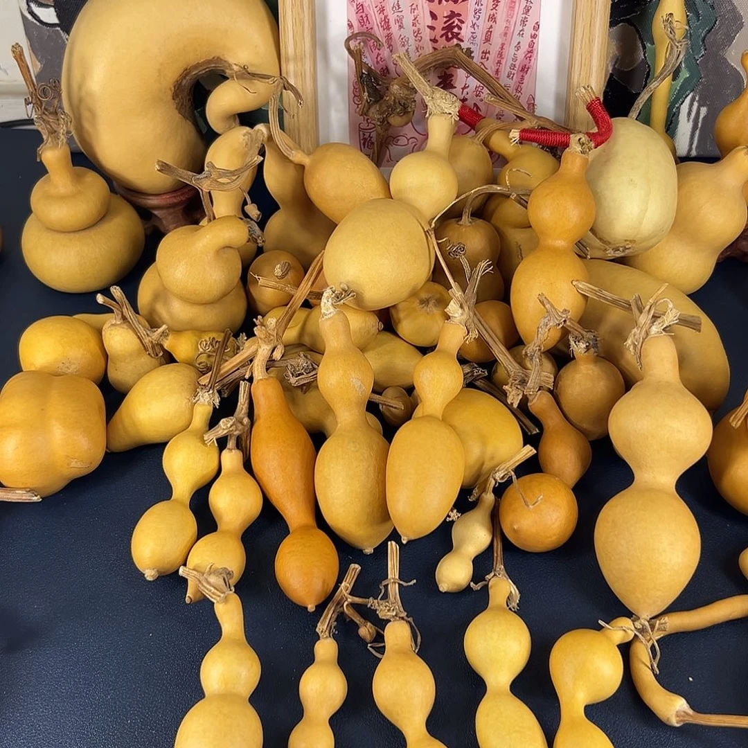 如****手手把葫芦全品蚂蚁