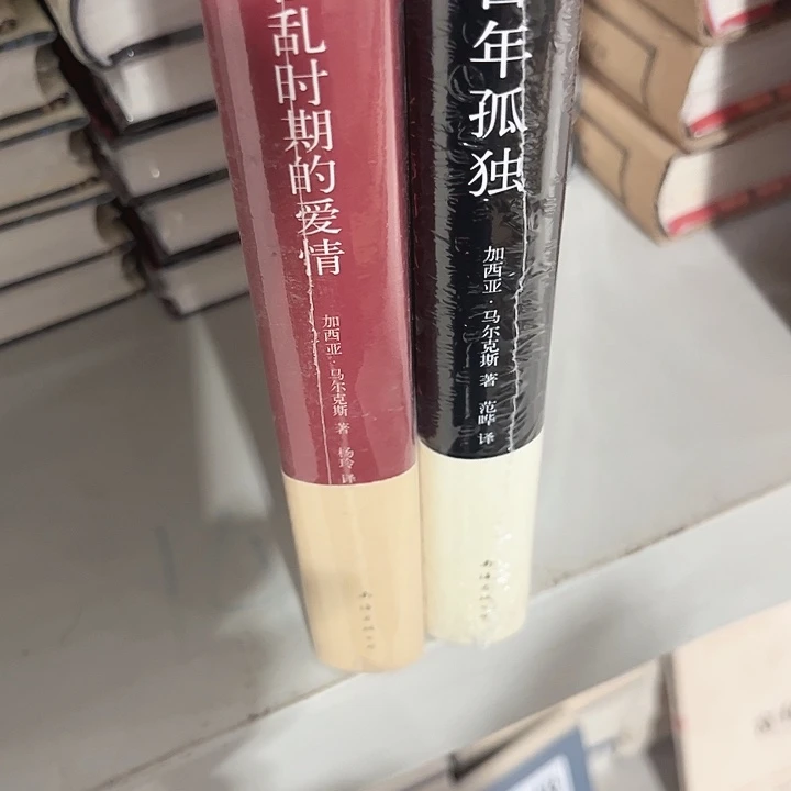 百年孤独，霍乱时期的爱情