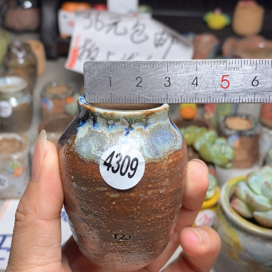 拍5送一个小礼物