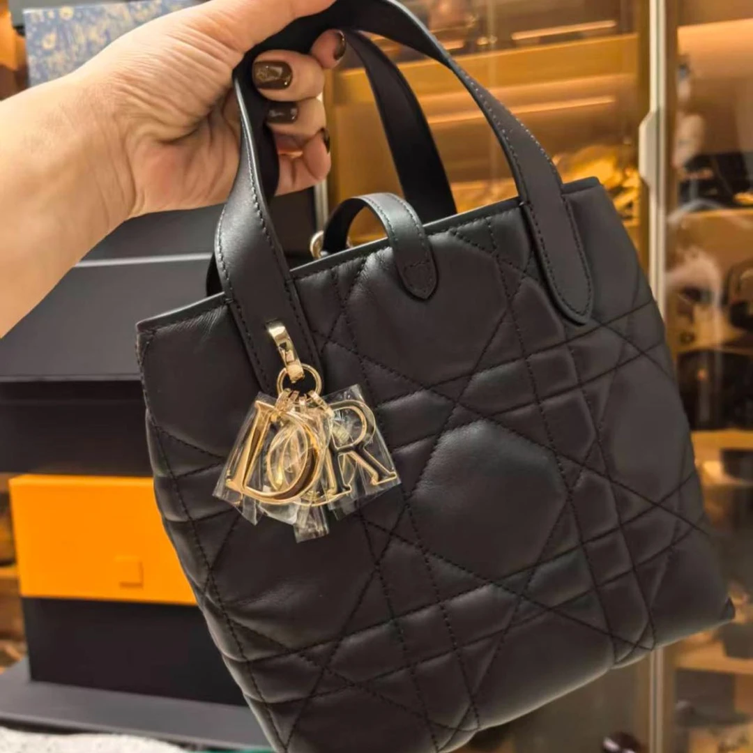 迪奥土著竖版小号包·14179429