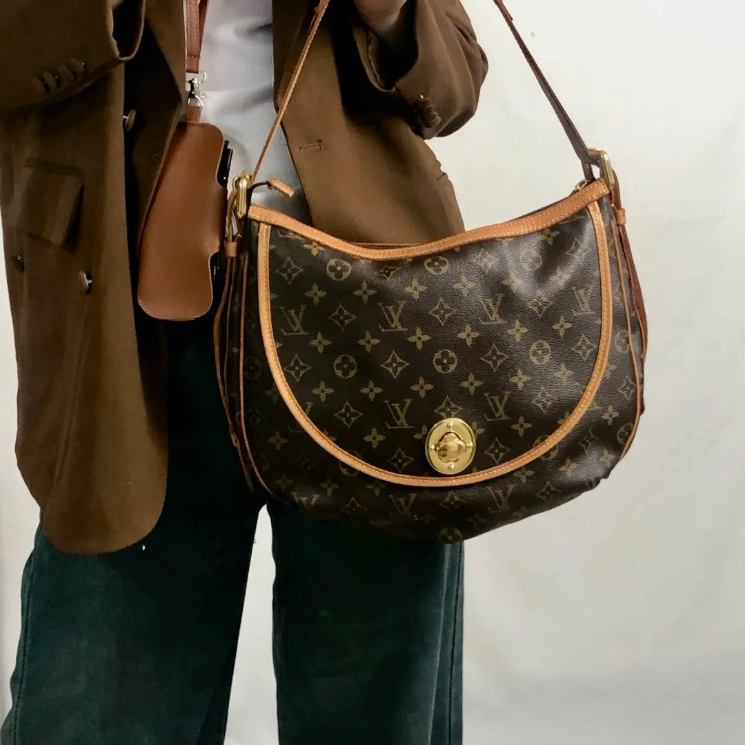 95新 LouisVuitton/路易威登 lv老花金豆包972907