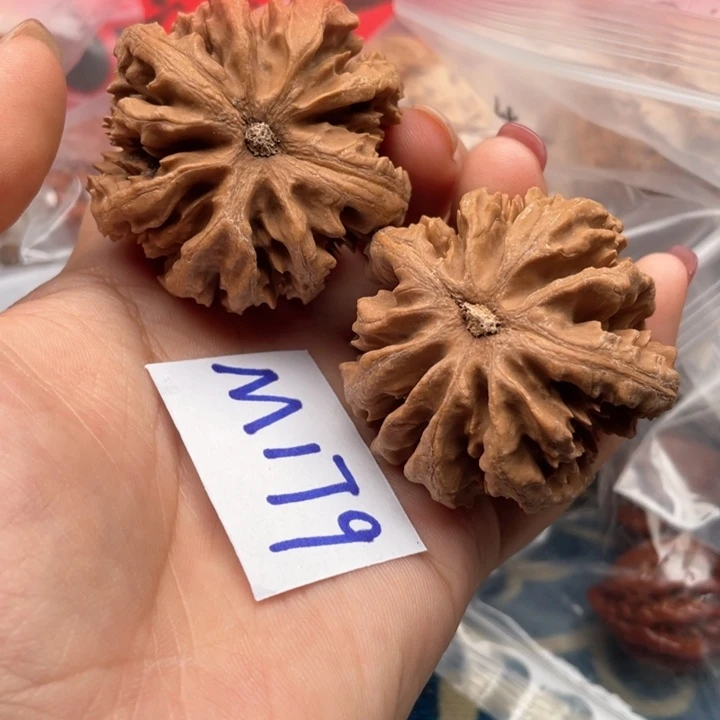 文玩核桃把件核桃