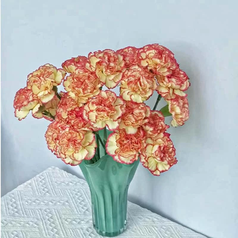 【云哩花卉】【橙色花边】单头康乃馨任意两单及以上升级顺丰京东