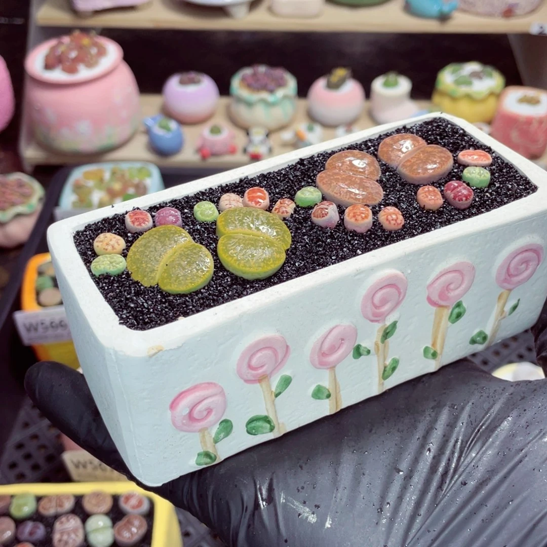 夜间零下地区拍保温箱w5676