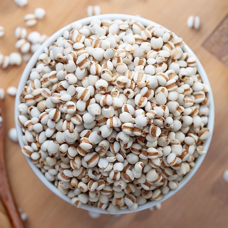 云南高山薏米云南特产