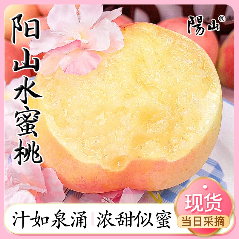 h【桃大宝】无锡阳山水蜜桃孕妇水果单果5-6两拍6只送6只新鲜采摘