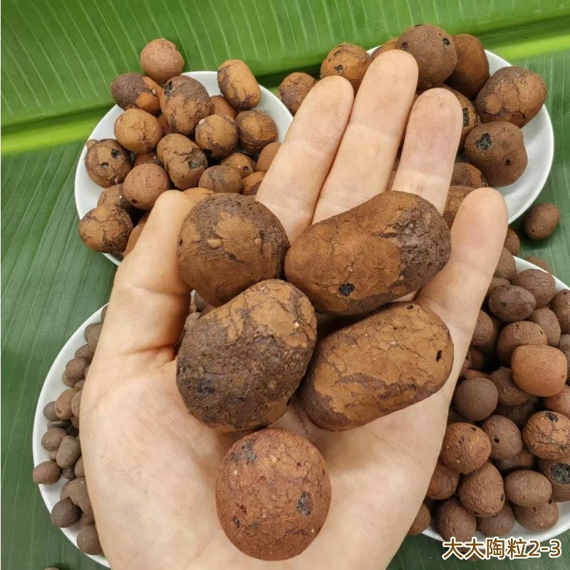 园艺陶粒轻质透气养花多肉铺面垫底花卉陶粒防烂根透气水培回填用