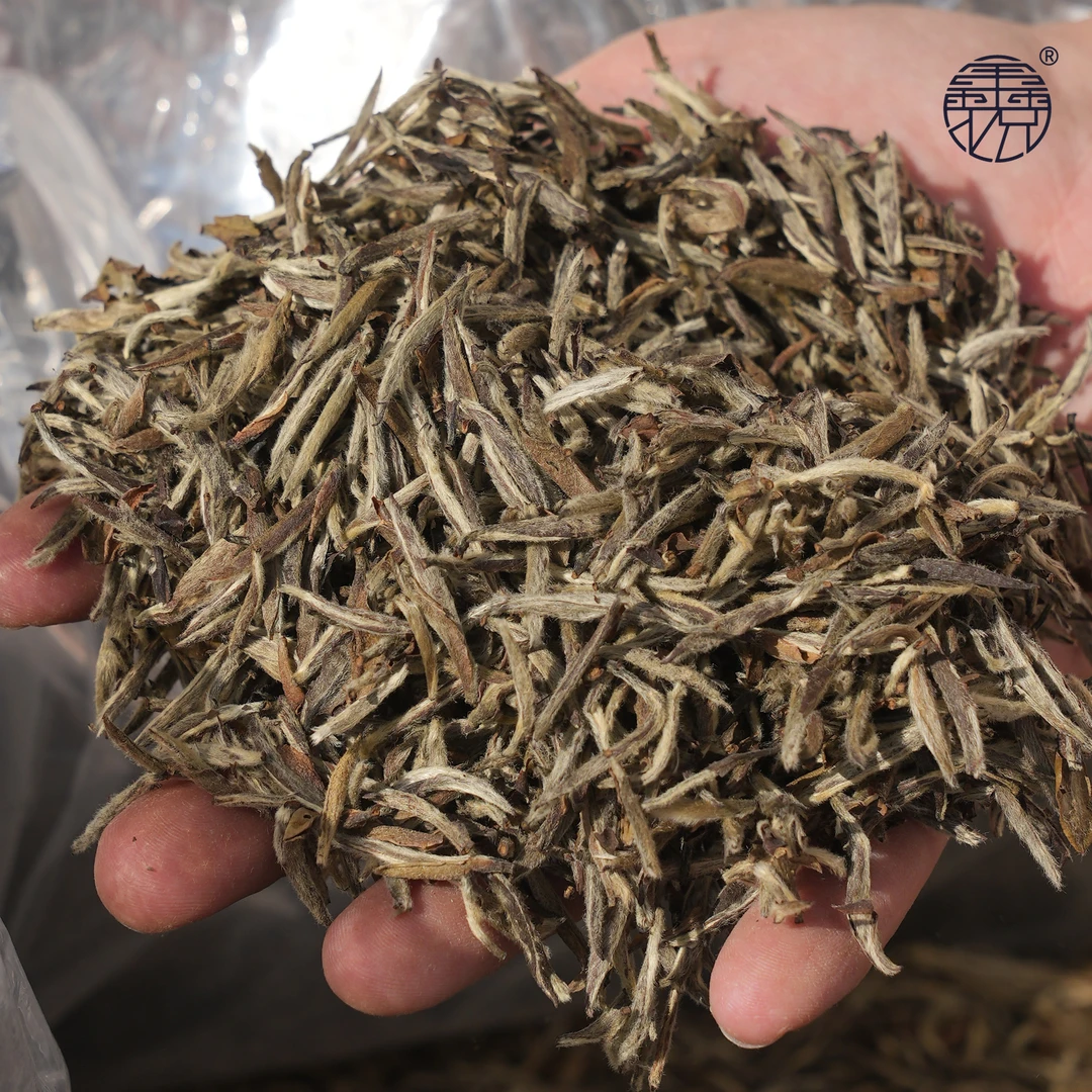 【鑫说】福鼎白茶----正统·梅派·2008年碳焙白毫银针