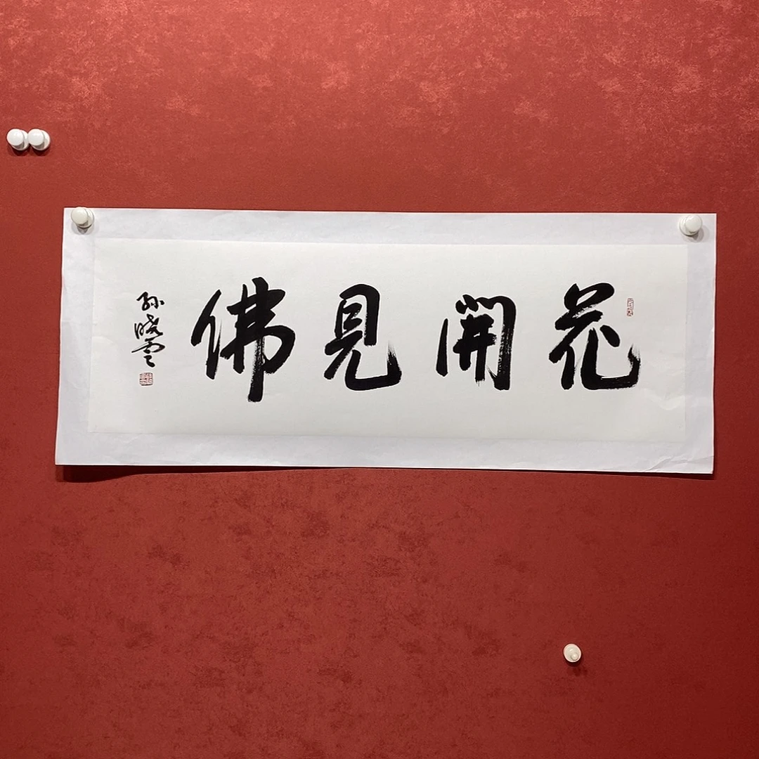 花开见佛直播大漏
