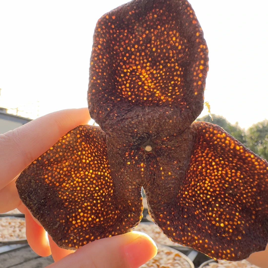 【冬日必备】2019年新会梅江老整皮 核心产陈皮茶 圈枝茶枝柑