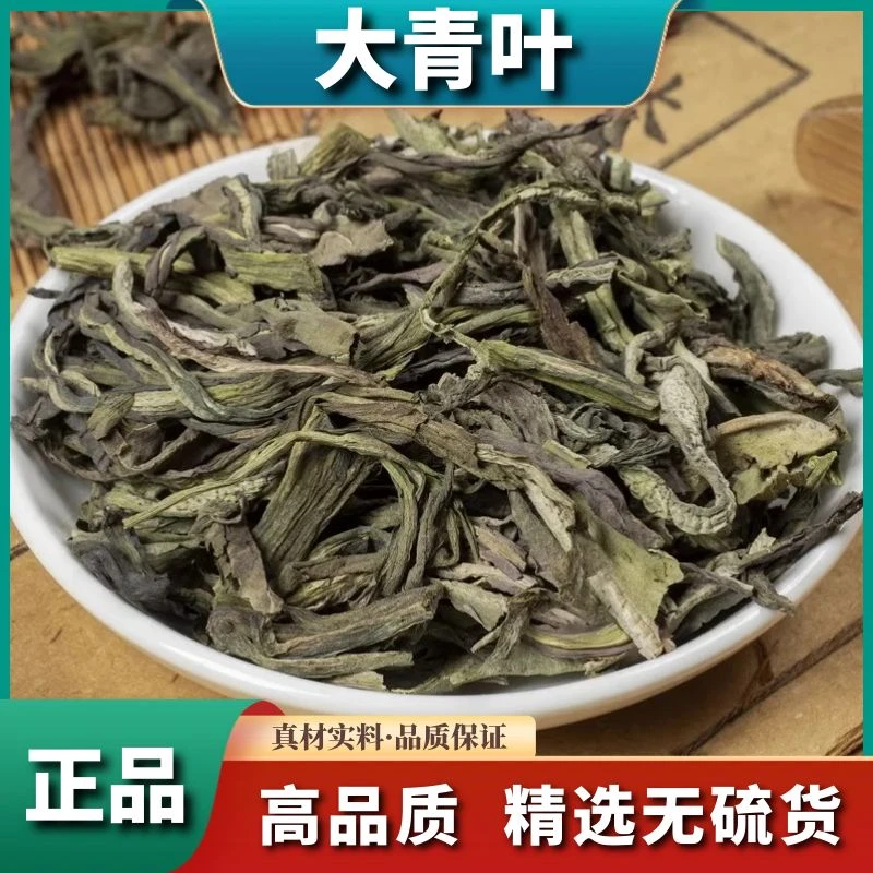 野生大青叶正品新货板蓝根叶子大青叶粉新鲜干货无硫散装叶菜包邮