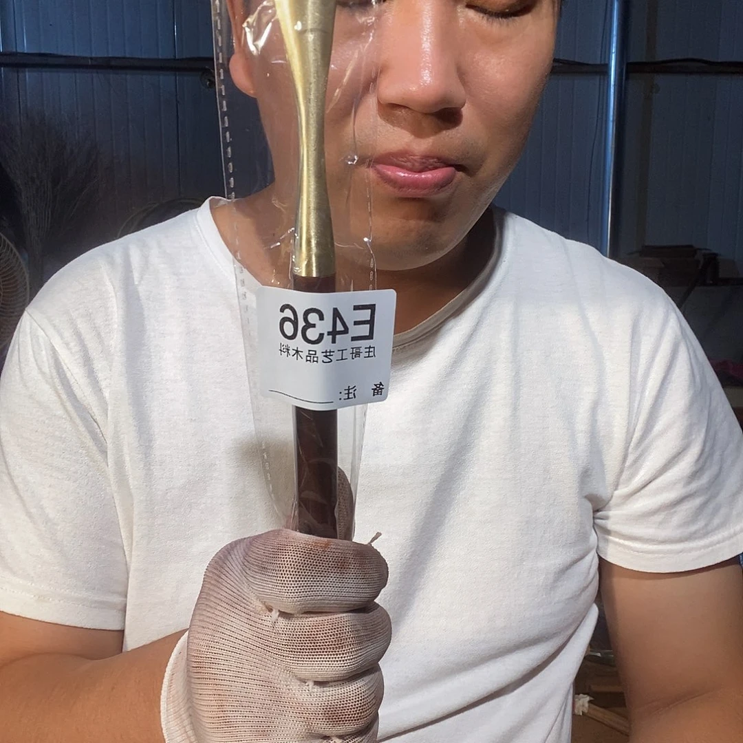 用***光杂色豆(科檀/科特迪瓦檀木)