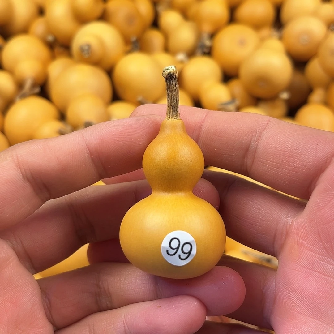 五葫芦葫芦葫芦葫芦99