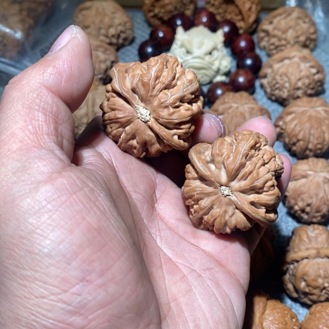 荣***鑫粗筋。