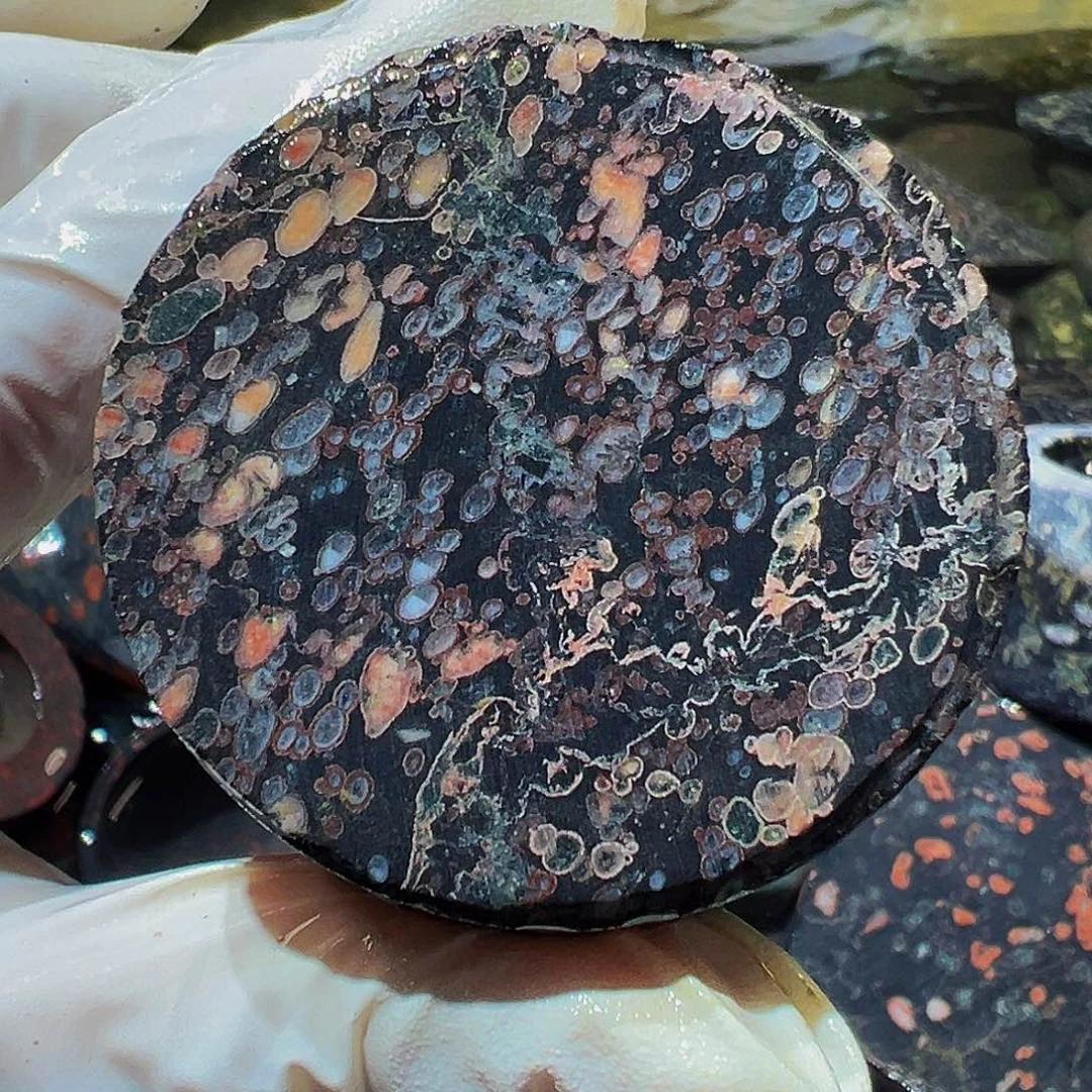 梅花玉鱼缸石茶周边不退不换