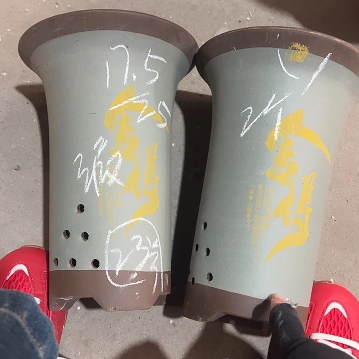 23…………………………………………