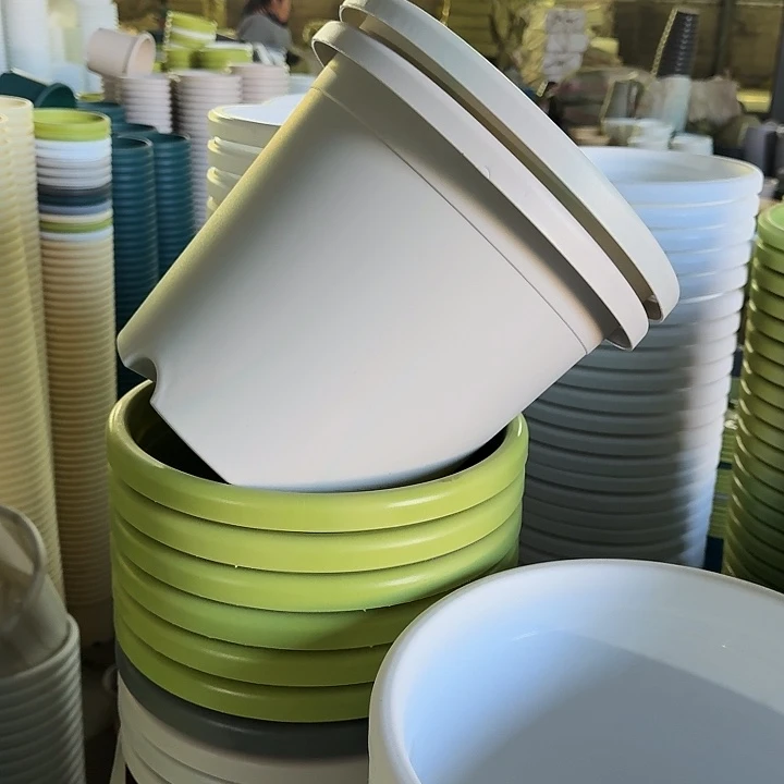 四季5#口径29灰白10个无托