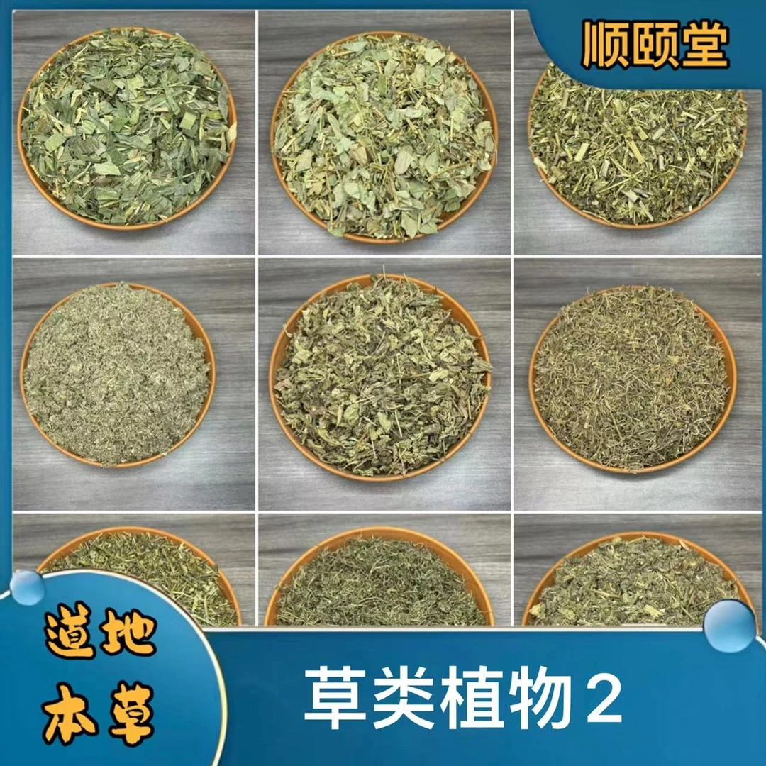 【草类植物2】蒲公英绞股蓝佩兰马齿苋藿香鱼腥草桑寄生伸筋草泽兰