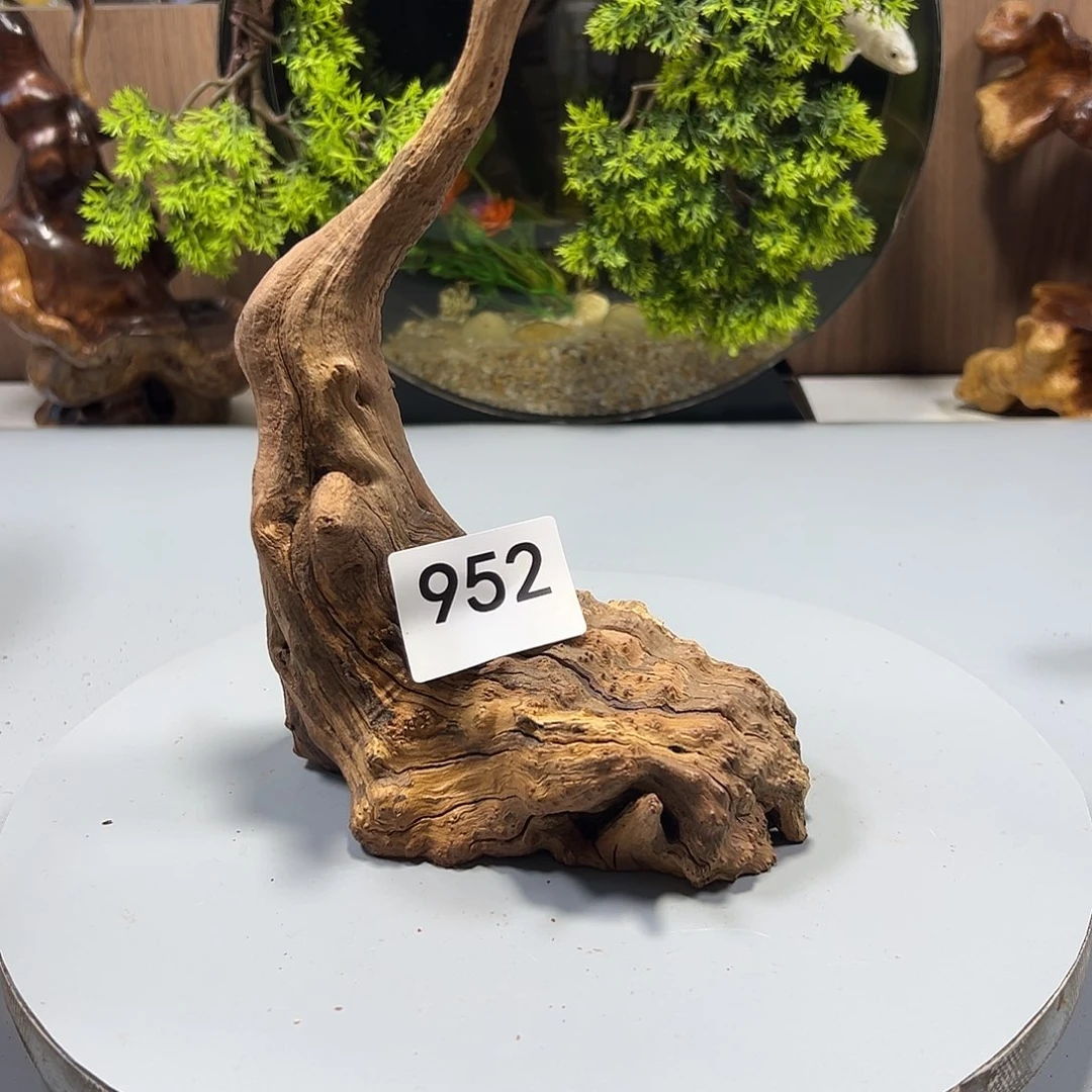 大果紫檀（缅甸花梨）用****5