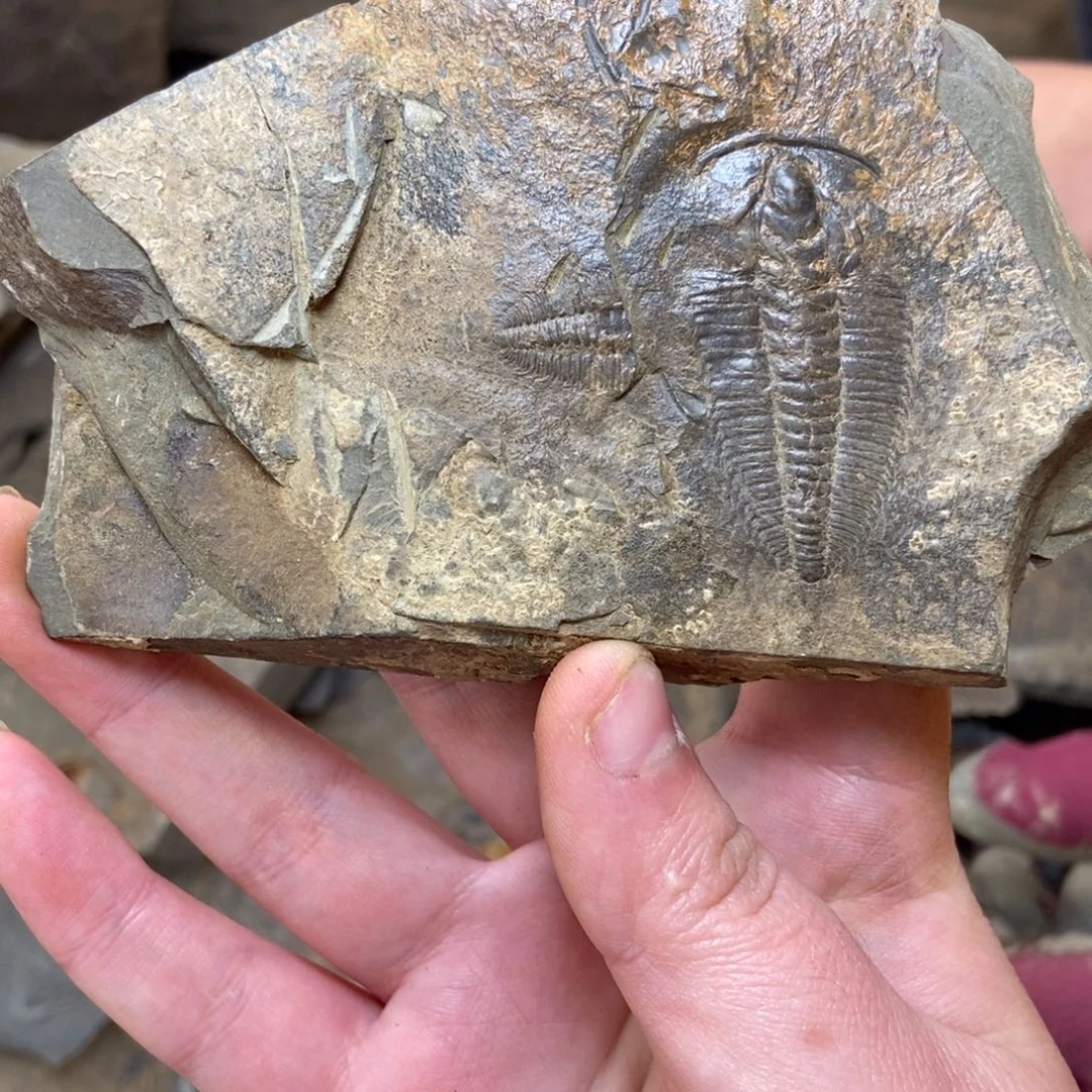 老***拉石材111111111111