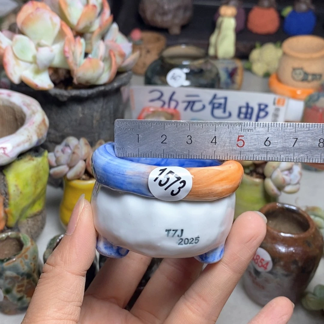 拍5送一个小礼物