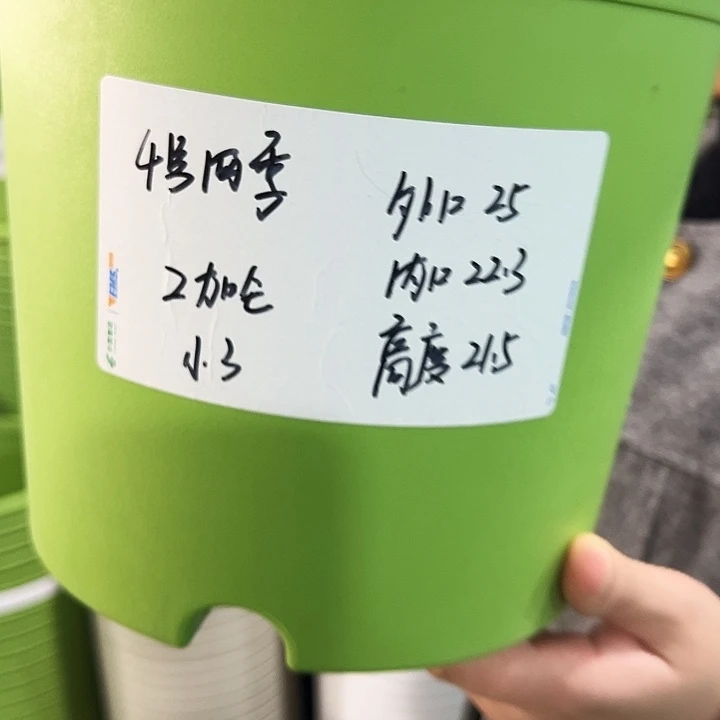 特价4号四季口25高21果绿色8个无托