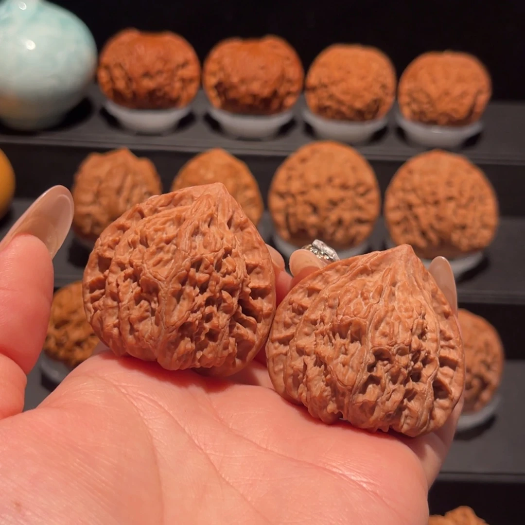 三角红梅，梅花42，全品