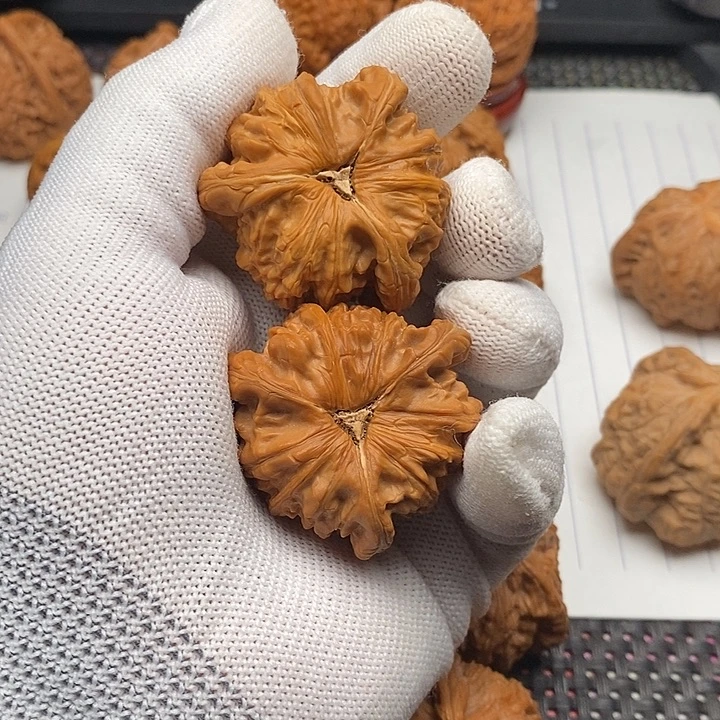 赢***儿手串/手链核桃拼接白狮子4