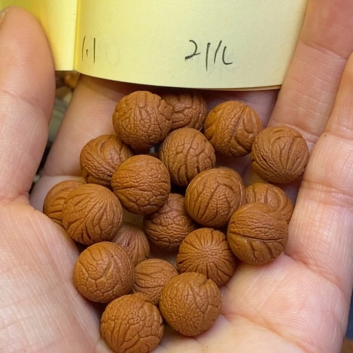 吊坠桃核秦岭龙纹11尺寸