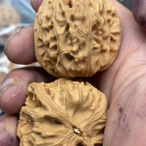 文玩核桃把件鸡心15