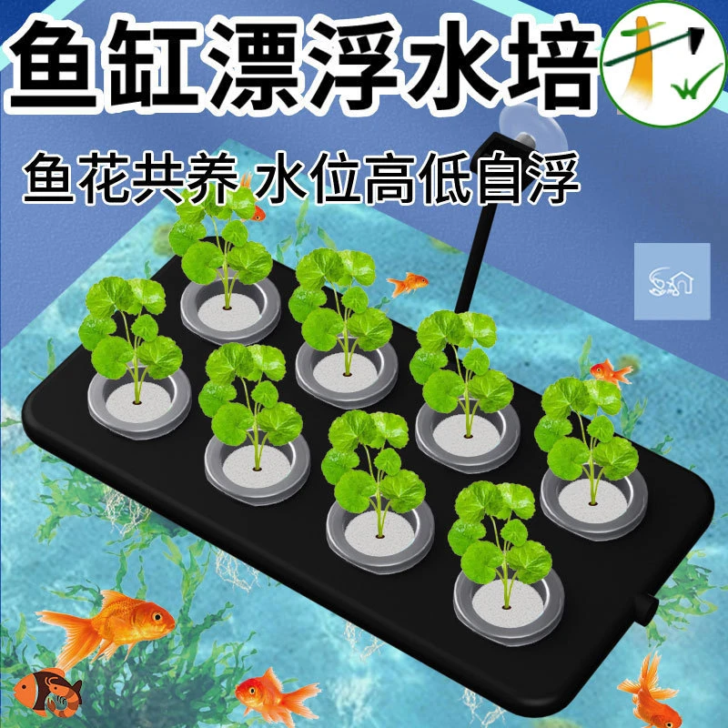 水培定植篮漂浮壁挂吸盘式绿植造景鱼缸定植篮家用水培漂浮种植板