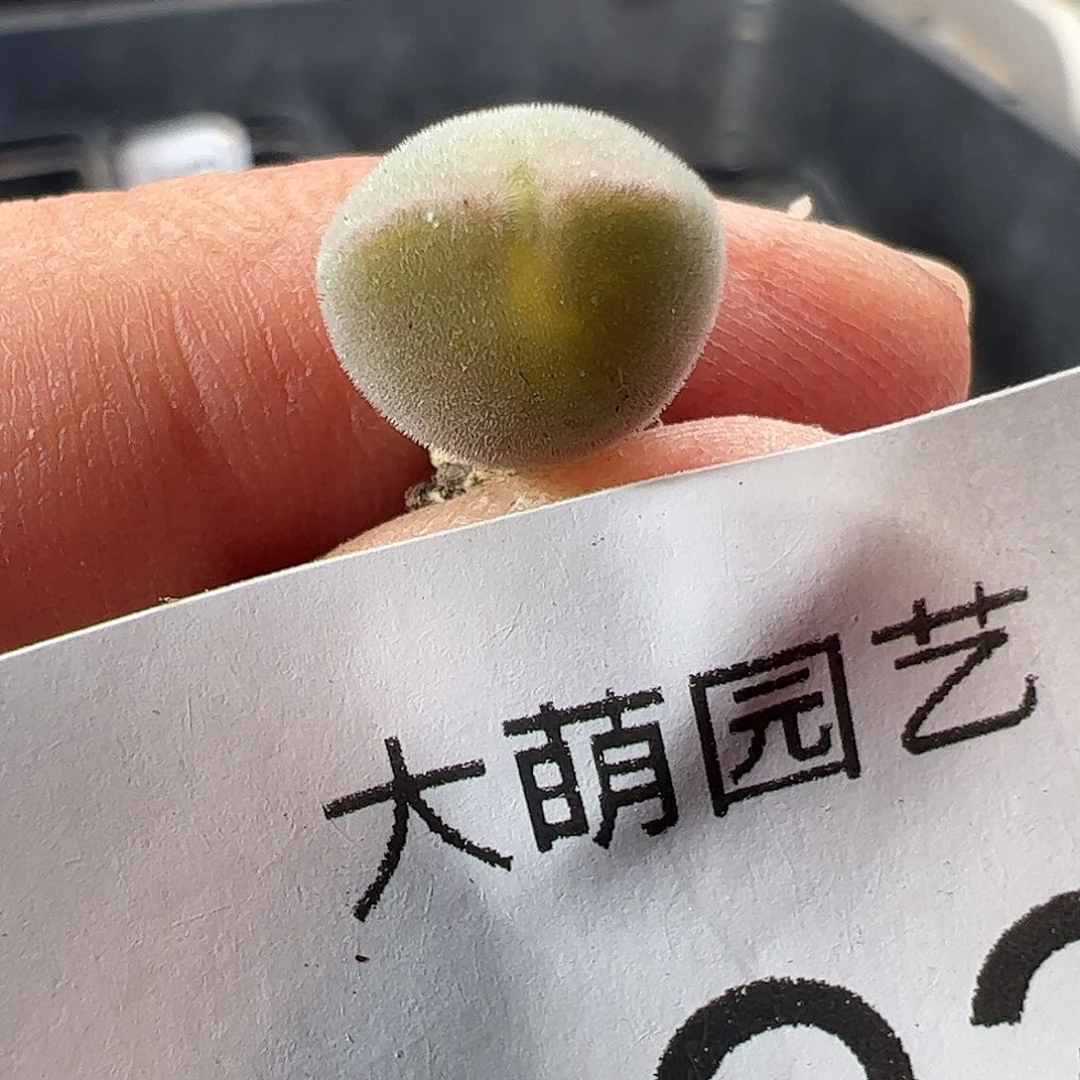 一物一拍清盒福利默认有瑕693