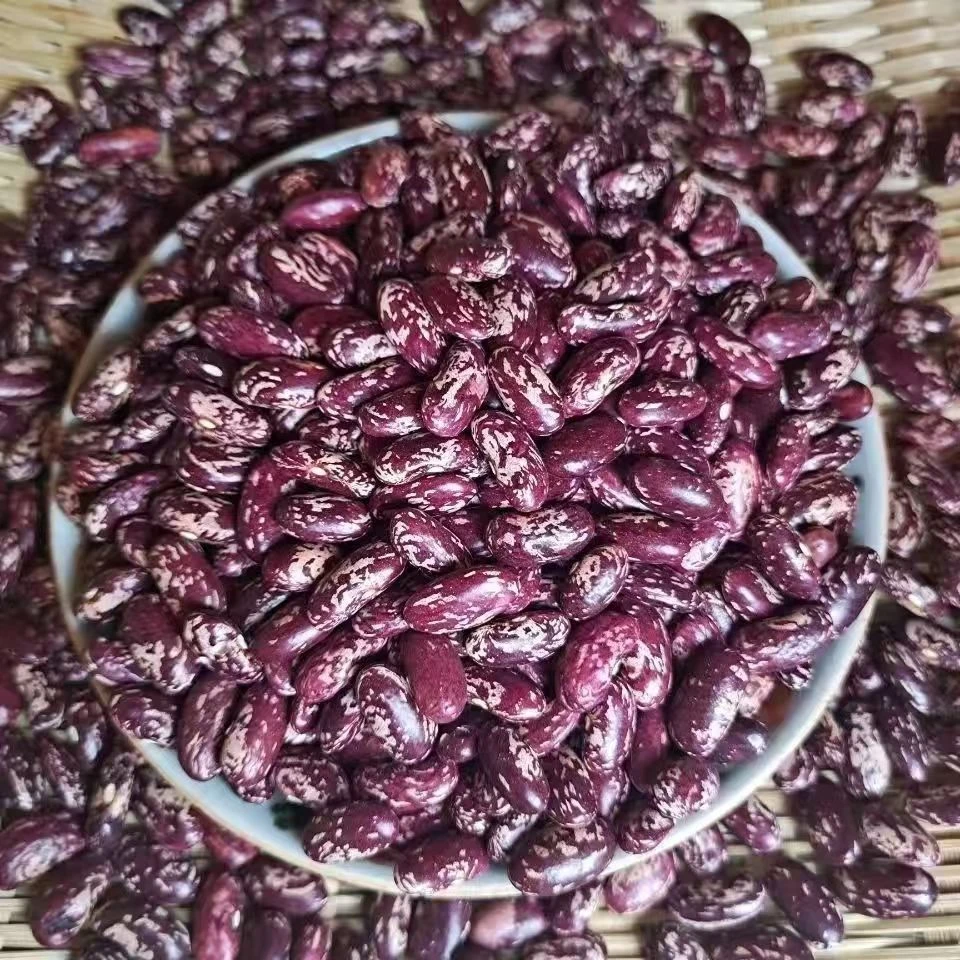 云南*镇雄*花腰豆*