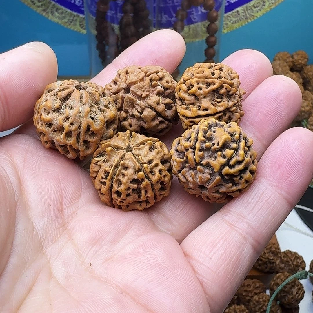 金刚菩提吊坠福**满单籽