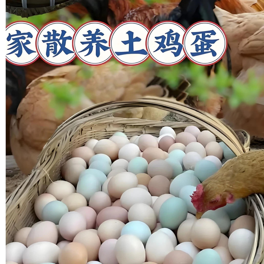 正宗农家散养新鲜土鸡蛋混合装散养土鸡蛋正宗土鸡蛋鲜鸡蛋