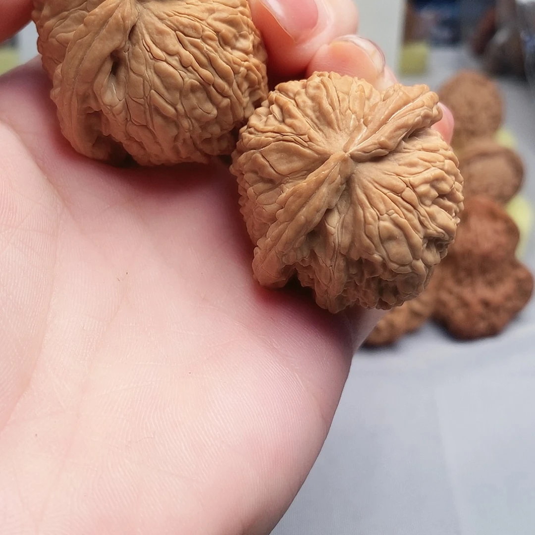 大叶紫檀（黑酸枝木类）白狮子