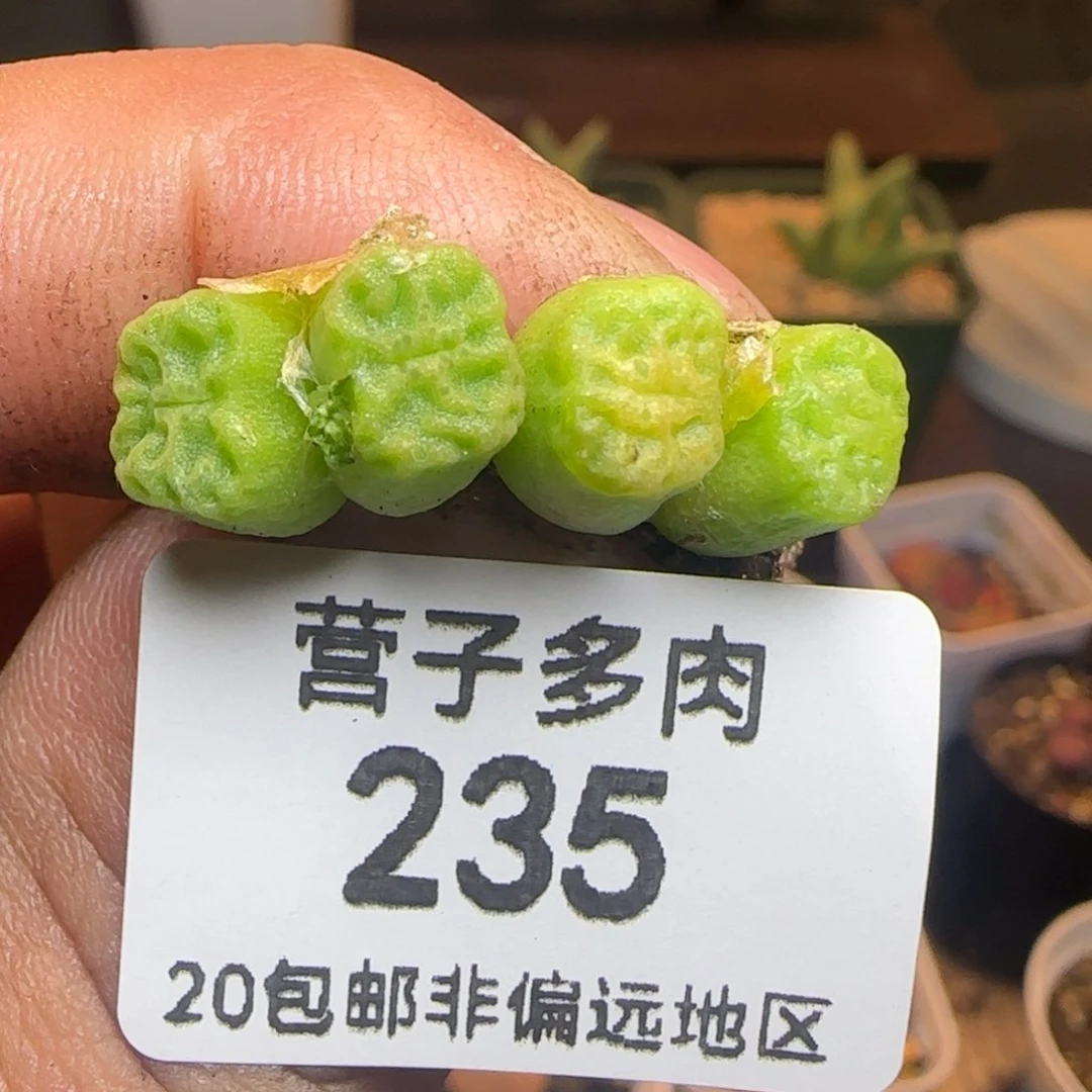 1410.657。