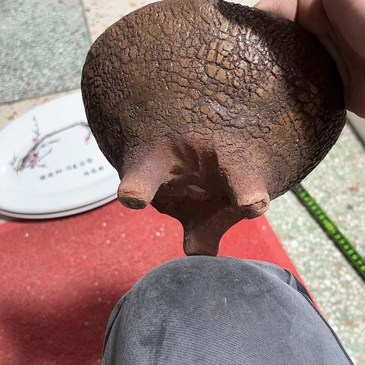 红陶永****)。。。。。。。。。。。