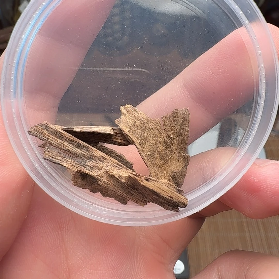 沉香芽庄正区碎料