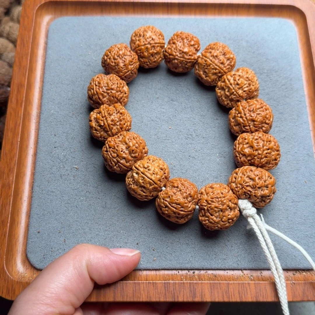 菩提菩提1号尼泊尔大金刚23满肉蜂窝