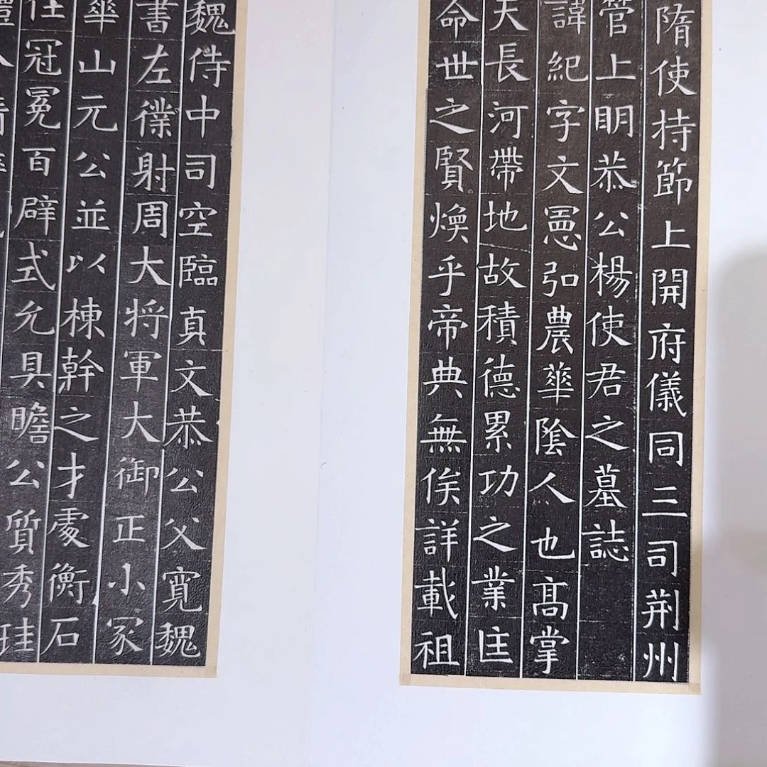 王***生昌化石印石杨纪册页111111