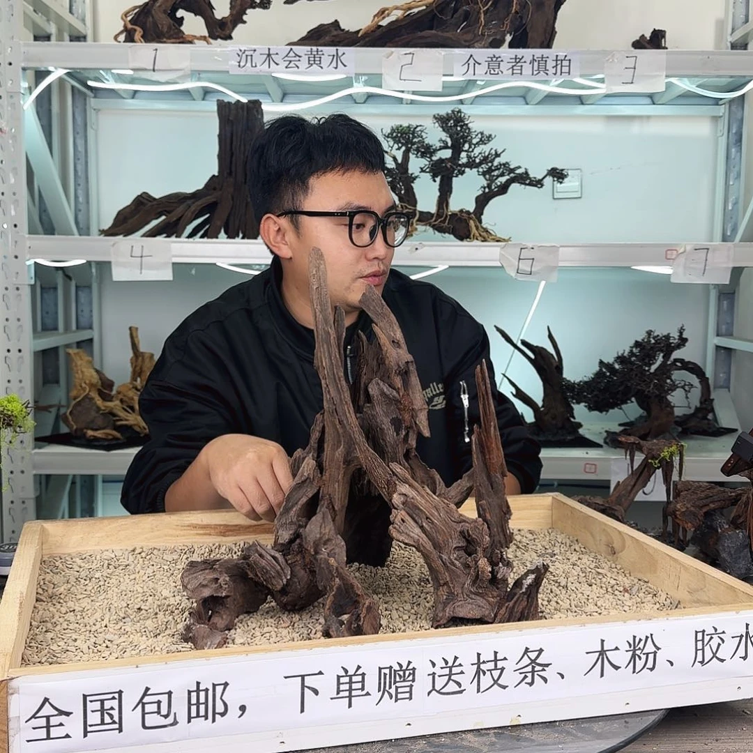 姓***诚沉木造景沉木造景