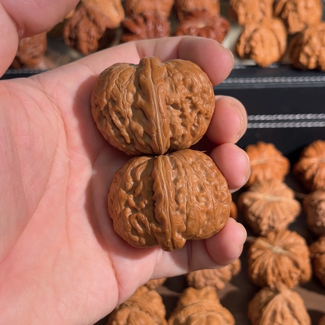 核桃手串/手链44全品毕业元宝