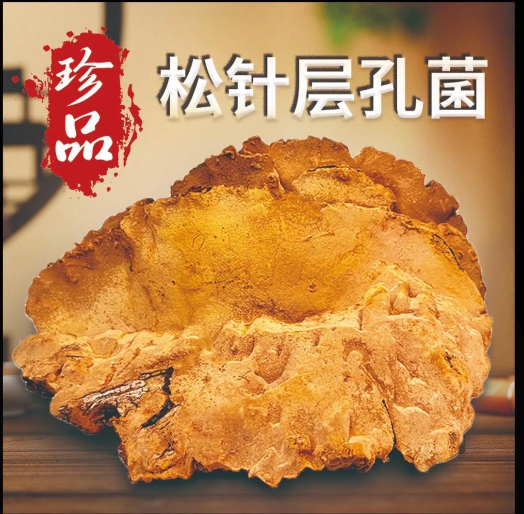 西藏高品质霜降松针层空菌泡茶煮水喝营养滋补