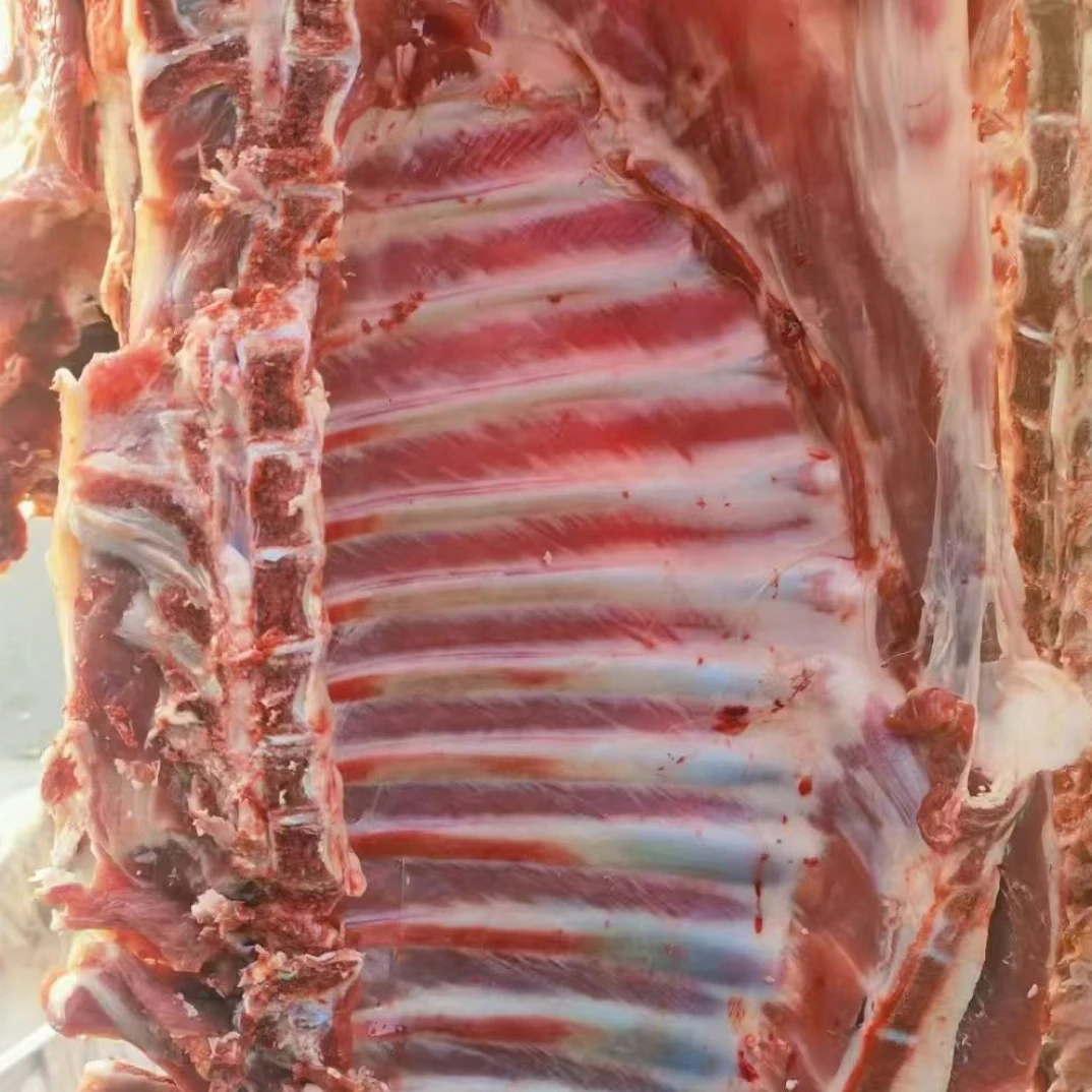 新鲜小山羊肉