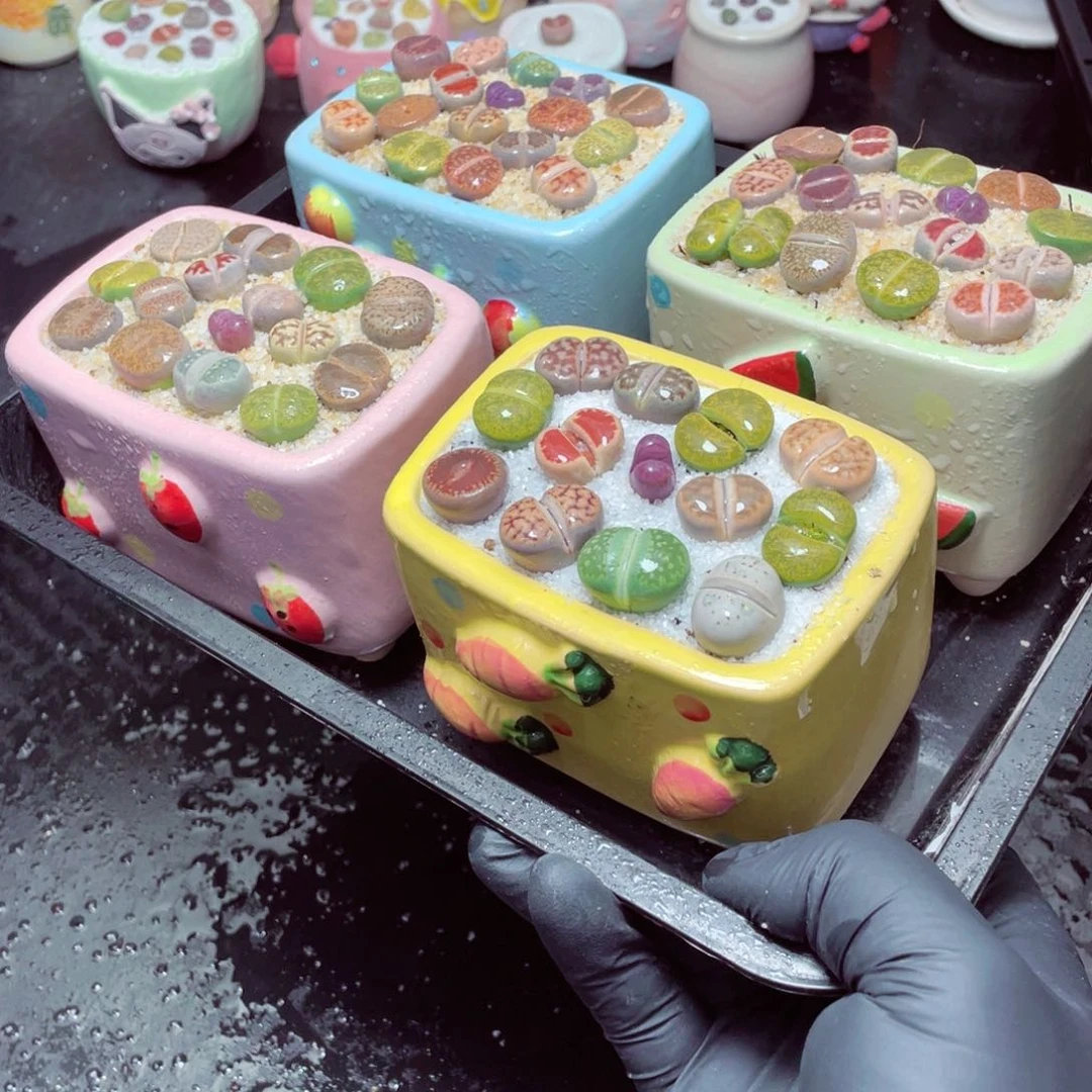 w99999-长方形水果，一份一盆量拍