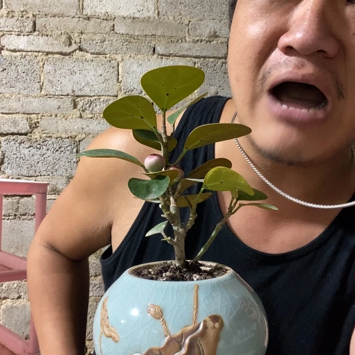完全开放退款拉黑一物一拍191
